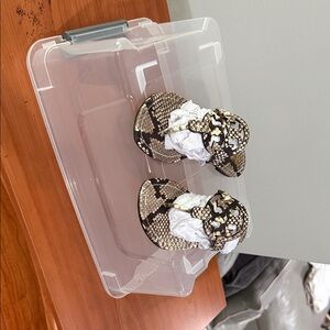 Tory Burch logo Snakeskin Pattern Sandalsp